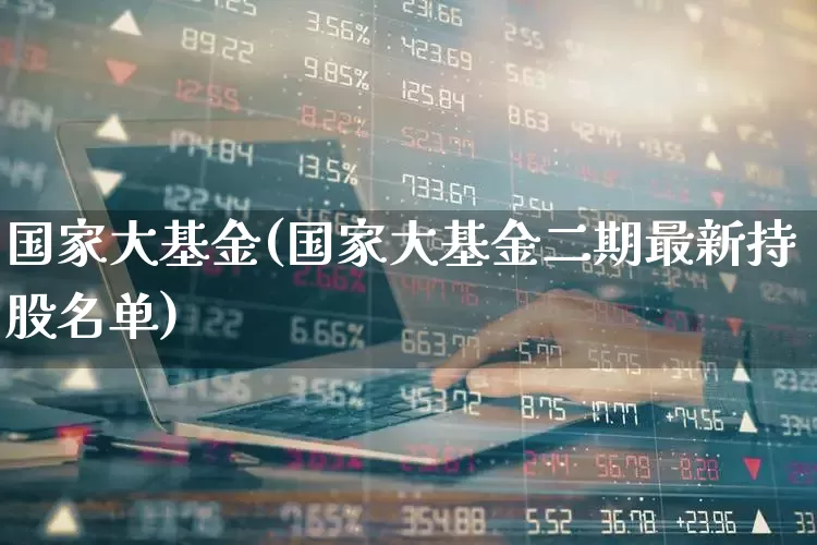 国家大基金(国家大基金二期最新持股名单)_https://www.heiljjianzu.com_上交所_第1张