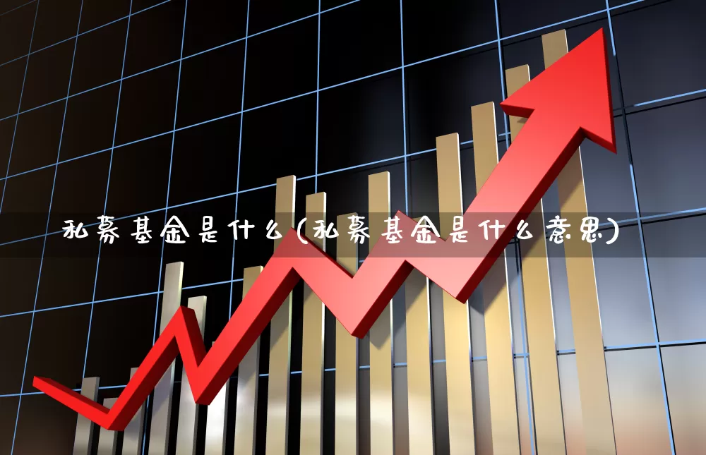 私募基金是什么(私募基金是什么意思)_https://www.heiljjianzu.com_科创板_第1张