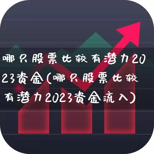 哪只股票比较有潜力2023资金(哪只股票比较有潜力2023资金流入)_https://www.heiljjianzu.com_创业板_第1张