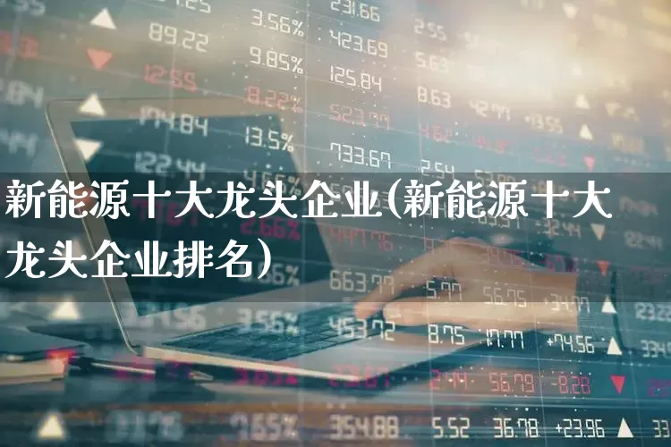 新能源十大龙头企业(新能源十大龙头企业排名)_https://www.heiljjianzu.com_科创板_第1张