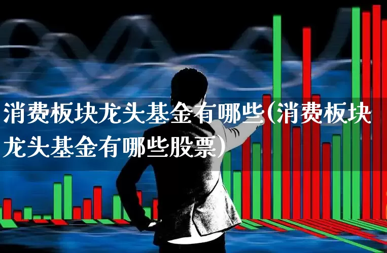 消费板块龙头基金有哪些(消费板块龙头基金有哪些股票)_https://www.heiljjianzu.com_科创板_第1张
