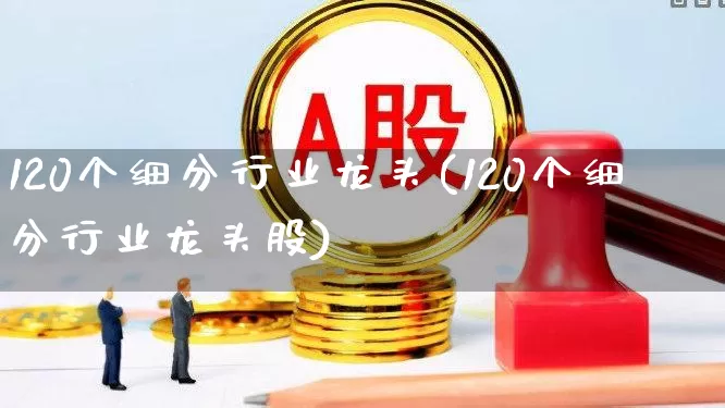 120个细分行业龙头(120个细分行业龙头股)_https://www.heiljjianzu.com_北交所_第1张