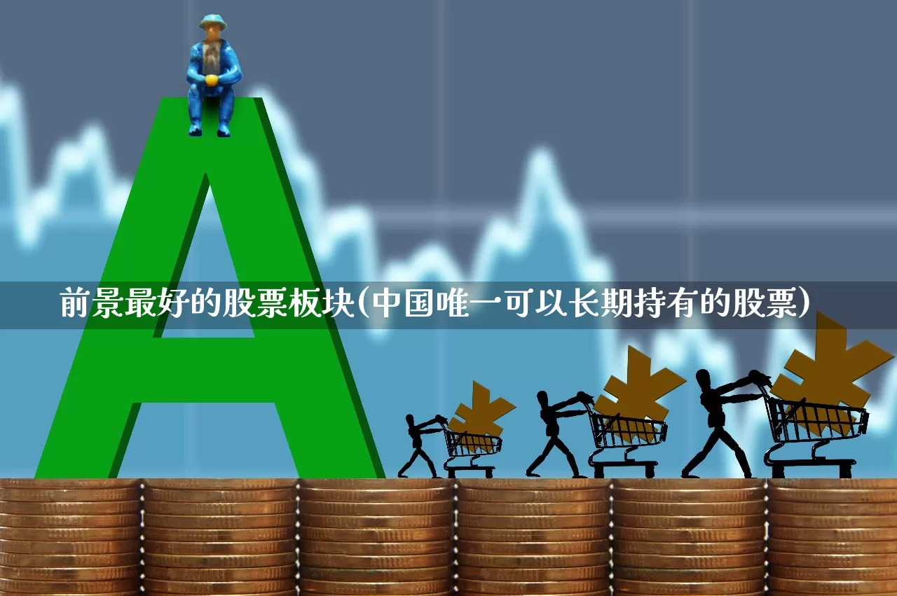 前景最好的股票板块(中国唯一可以长期持有的股票)_https://www.heiljjianzu.com_上交所_第1张
