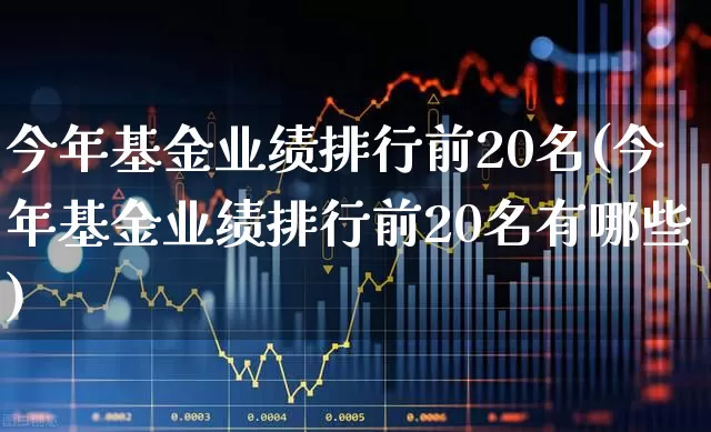今年基金业绩排行前20名(今年基金业绩排行前20名有哪些)_https://www.heiljjianzu.com_深交所_第1张