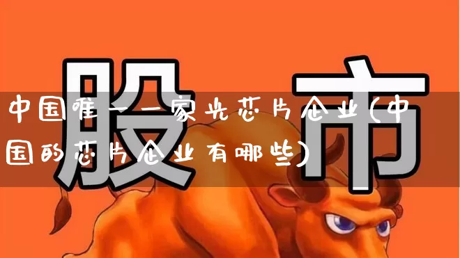 中国唯一一家光芯片企业(中国的芯片企业有哪些)_https://www.heiljjianzu.com_科创板_第1张