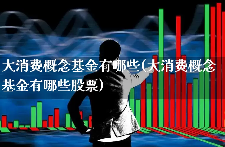大消费概念基金有哪些(大消费概念基金有哪些股票)_https://www.heiljjianzu.com_科创板_第1张
