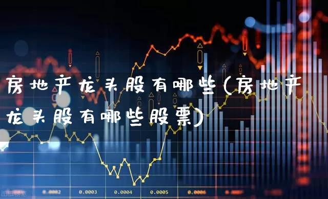 房地产龙头股有哪些(房地产龙头股有哪些股票)_https://www.heiljjianzu.com_北交所_第1张
