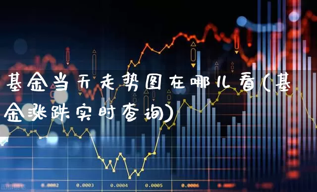 基金当天走势图在哪儿看(基金涨跌实时查询)_https://www.heiljjianzu.com_科创板_第1张