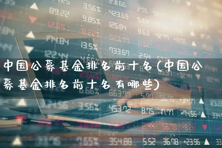 中国公募基金排名前十名(中国公募基金排名前十名有哪些)_https://www.heiljjianzu.com_北交所_第1张