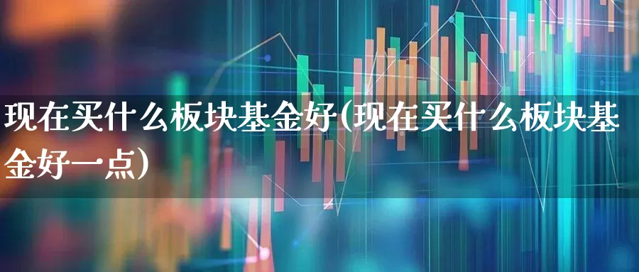 现在买什么板块基金好(现在买什么板块基金好一点)_https://www.heiljjianzu.com_创业板_第1张