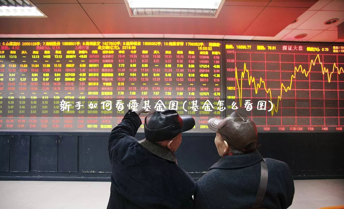 新手如何看懂基金图(基金怎么看图)_https://www.heiljjianzu.com_北交所_第1张