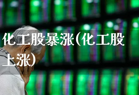 化工股暴涨(化工股上涨)_https://www.heiljjianzu.com_上交所_第1张