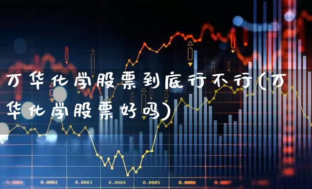 万华化学股票到底行不行(万华化学股票好吗)_https://www.heiljjianzu.com_深交所_第1张