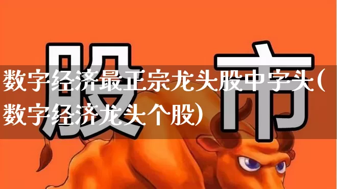 数字经济最正宗龙头股中字头(数字经济龙头个股)_https://www.heiljjianzu.com_上交所_第1张
