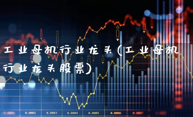 工业母机行业龙头(工业母机行业龙头股票)_https://www.heiljjianzu.com_深交所_第1张