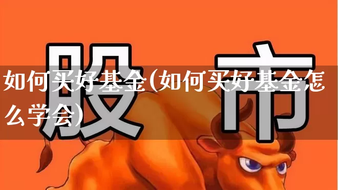 如何买好基金(如何买好基金怎么学会)_https://www.heiljjianzu.com_创业板_第1张