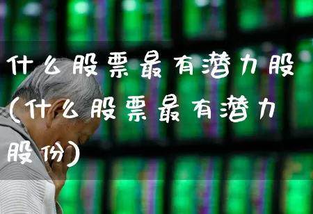 什么股票最有潜力股(什么股票最有潜力股份)_https://www.heiljjianzu.com_上交所_第1张