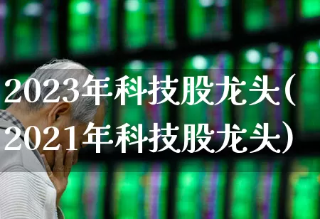 2023年科技股龙头(2021年科技股龙头)_https://www.heiljjianzu.com_科创板_第1张