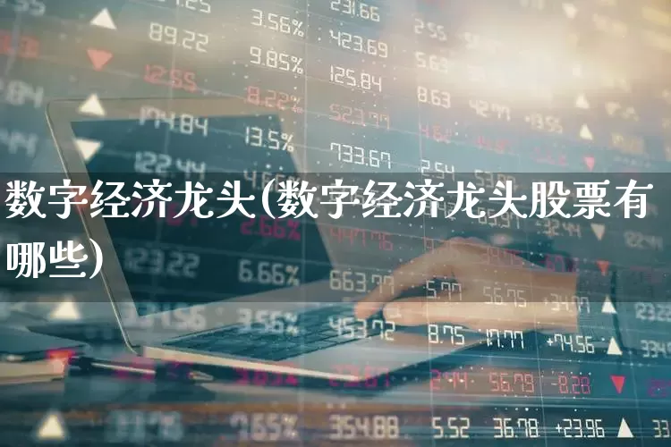 数字经济龙头(数字经济龙头股票有哪些)_https://www.heiljjianzu.com_上交所_第1张