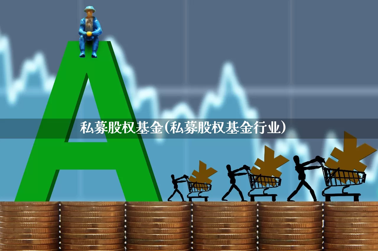 私募股权基金(私募股权基金行业)_https://www.heiljjianzu.com_科创板_第1张