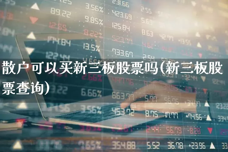 散户可以买新三板股票吗(新三板股票查询)_https://www.heiljjianzu.com_创业板_第1张