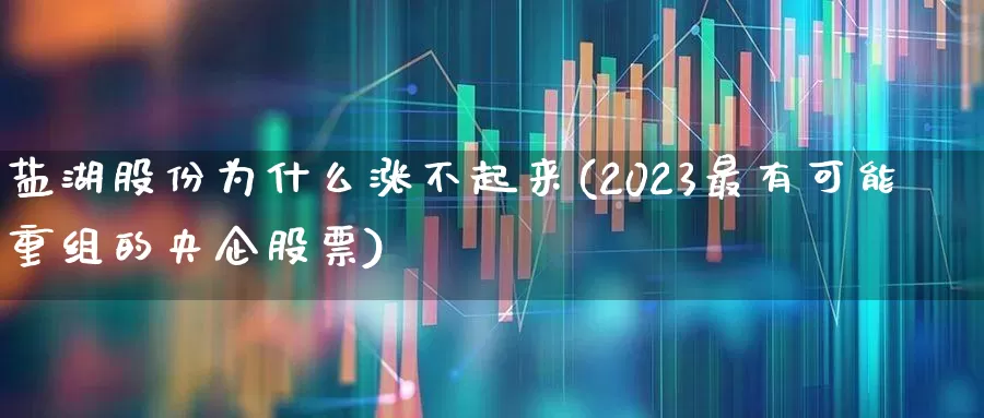 盐湖股份为什么涨不起来(2023最有可能重组的央企股票)_https://www.heiljjianzu.com_上交所_第1张