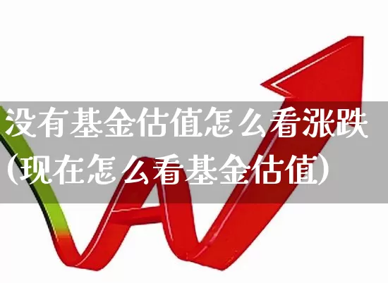 没有基金估值怎么看涨跌(现在怎么看基金估值)_https://www.heiljjianzu.com_北交所_第1张