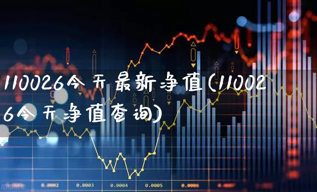 110026今天最新净值(110026今天净值查询)_https://www.heiljjianzu.com_深交所_第1张