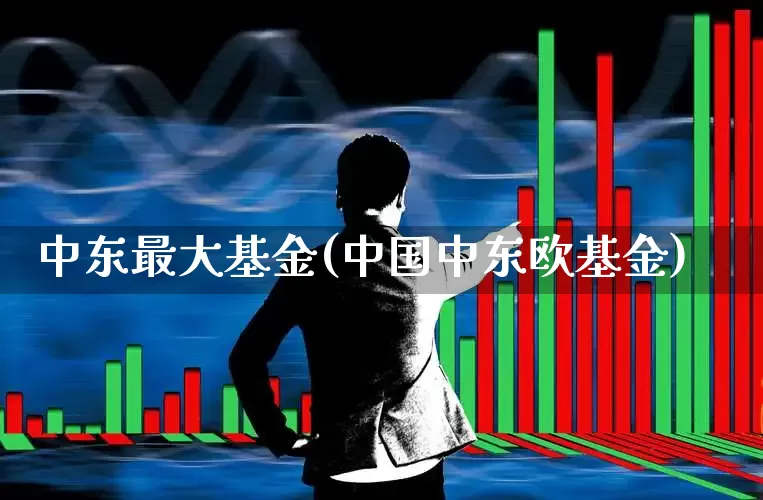 中东最大基金(中国中东欧基金)_https://www.heiljjianzu.com_北交所_第1张