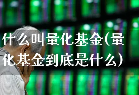 什么叫量化基金(量化基金到底是什么)_https://www.heiljjianzu.com_北交所_第1张
