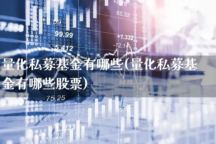量化私募基金有哪些(量化私募基金有哪些股票)_https://www.heiljjianzu.com_上交所_第1张