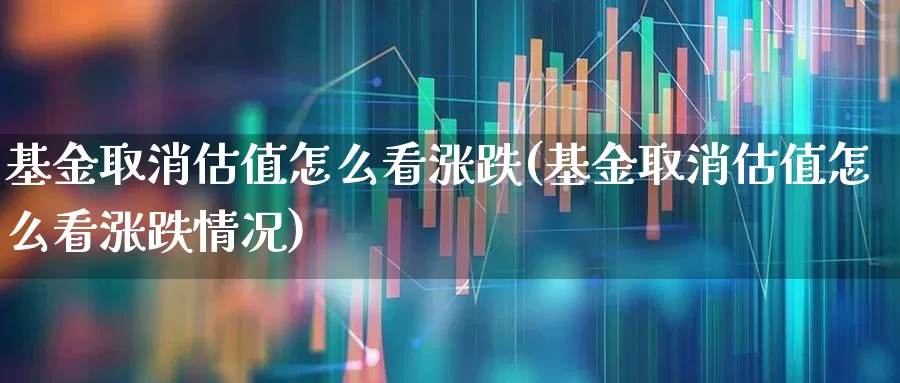 基金取消估值怎么看涨跌(基金取消估值怎么看涨跌情况)_https://www.heiljjianzu.com_创业板_第1张