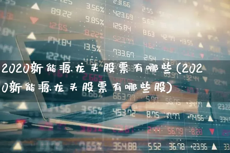 2020新能源龙头股票有哪些(2020新能源龙头股票有哪些股)_https://www.heiljjianzu.com_深交所_第1张