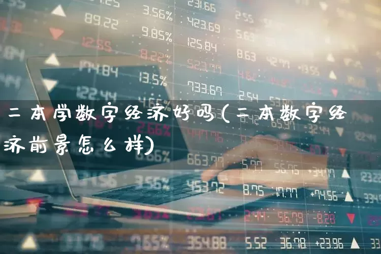 二本学数字经济好吗(二本数字经济前景怎么样)_https://www.heiljjianzu.com_深交所_第1张