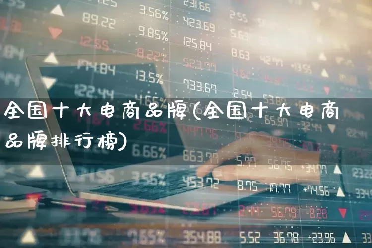 全国十大电商品牌(全国十大电商品牌排行榜)_https://www.heiljjianzu.com_科创板_第1张