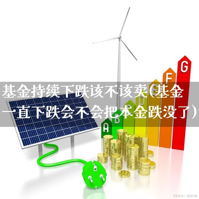 基金持续下跌该不该卖(基金一直下跌会不会把本金跌没了)_https://www.heiljjianzu.com_上交所_第1张