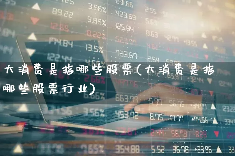 大消费是指哪些股票(大消费是指哪些股票行业)_https://www.heiljjianzu.com_创业板_第1张
