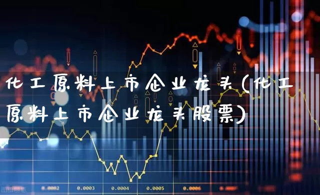 化工原料上市企业龙头(化工原料上市企业龙头股票)_https://www.heiljjianzu.com_上交所_第1张
