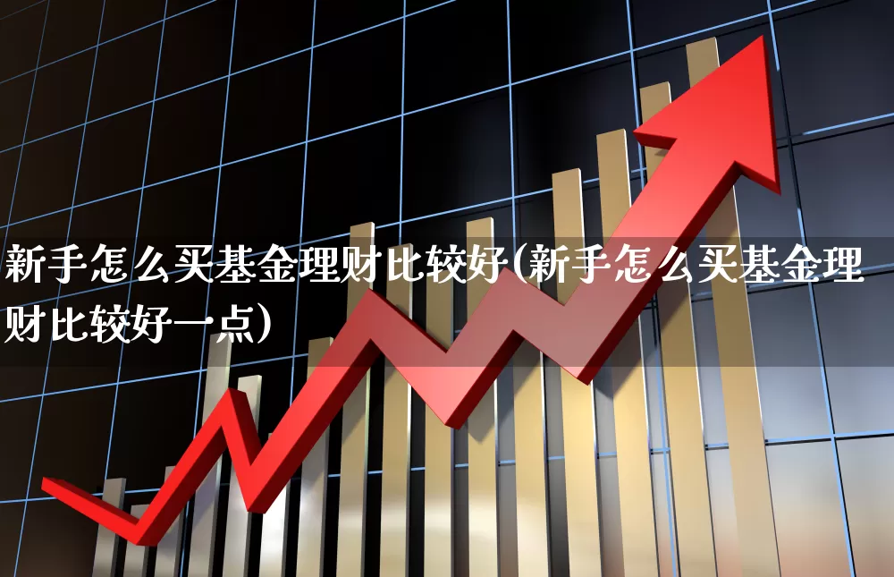 新手怎么买基金理财比较好(新手怎么买基金理财比较好一点)_https://www.heiljjianzu.com_科创板_第1张