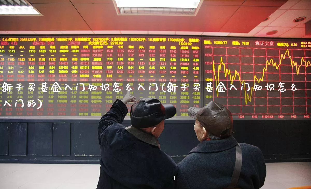 新手买基金入门知识怎么入门(新手买基金入门知识怎么入门的)_https://www.heiljjianzu.com_深交所_第1张
