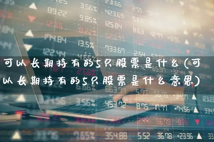 可以长期持有的5只股票是什么(可以长期持有的5只股票是什么意思)_https://www.heiljjianzu.com_科创板_第1张