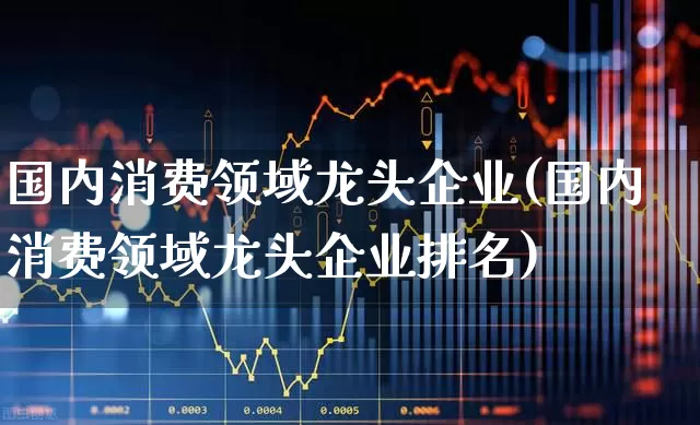 国内消费领域龙头企业(国内消费领域龙头企业排名)_https://www.heiljjianzu.com_深交所_第1张