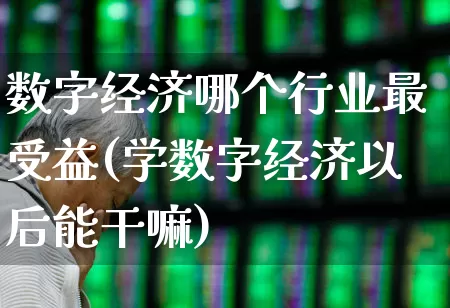 数字经济哪个行业最受益(学数字经济以后能干嘛)_https://www.heiljjianzu.com_创业板_第1张