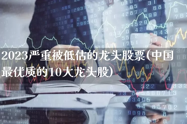 2023严重被低估的龙头股票(中国最优质的10大龙头股)_https://www.heiljjianzu.com_科创板_第1张