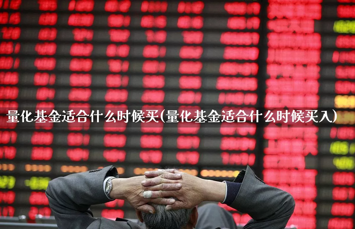 量化基金适合什么时候买(量化基金适合什么时候买入)_https://www.heiljjianzu.com_创业板_第1张