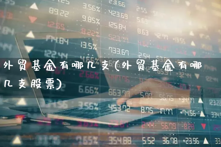 外贸基金有哪几支(外贸基金有哪几支股票)_https://www.heiljjianzu.com_深交所_第1张