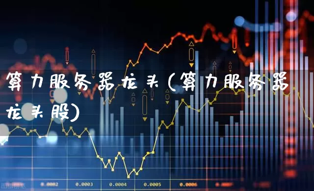 算力服务器龙头(算力服务器龙头股)_https://www.heiljjianzu.com_深交所_第1张