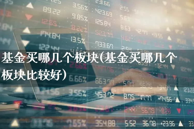 基金买哪几个板块(基金买哪几个板块比较好)_https://www.heiljjianzu.com_北交所_第1张