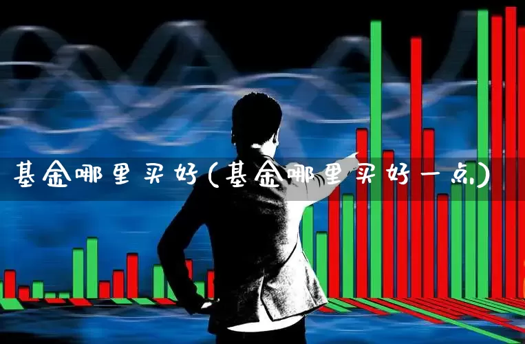 基金哪里买好(基金哪里买好一点)_https://www.heiljjianzu.com_北交所_第1张