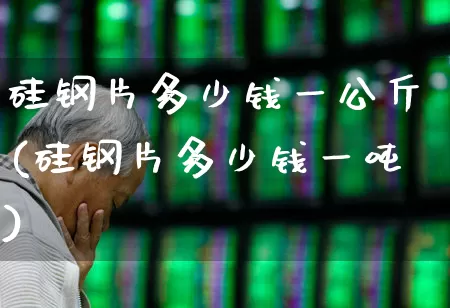 硅钢片多少钱一公斤(硅钢片多少钱一吨)_https://www.heiljjianzu.com_科创板_第1张